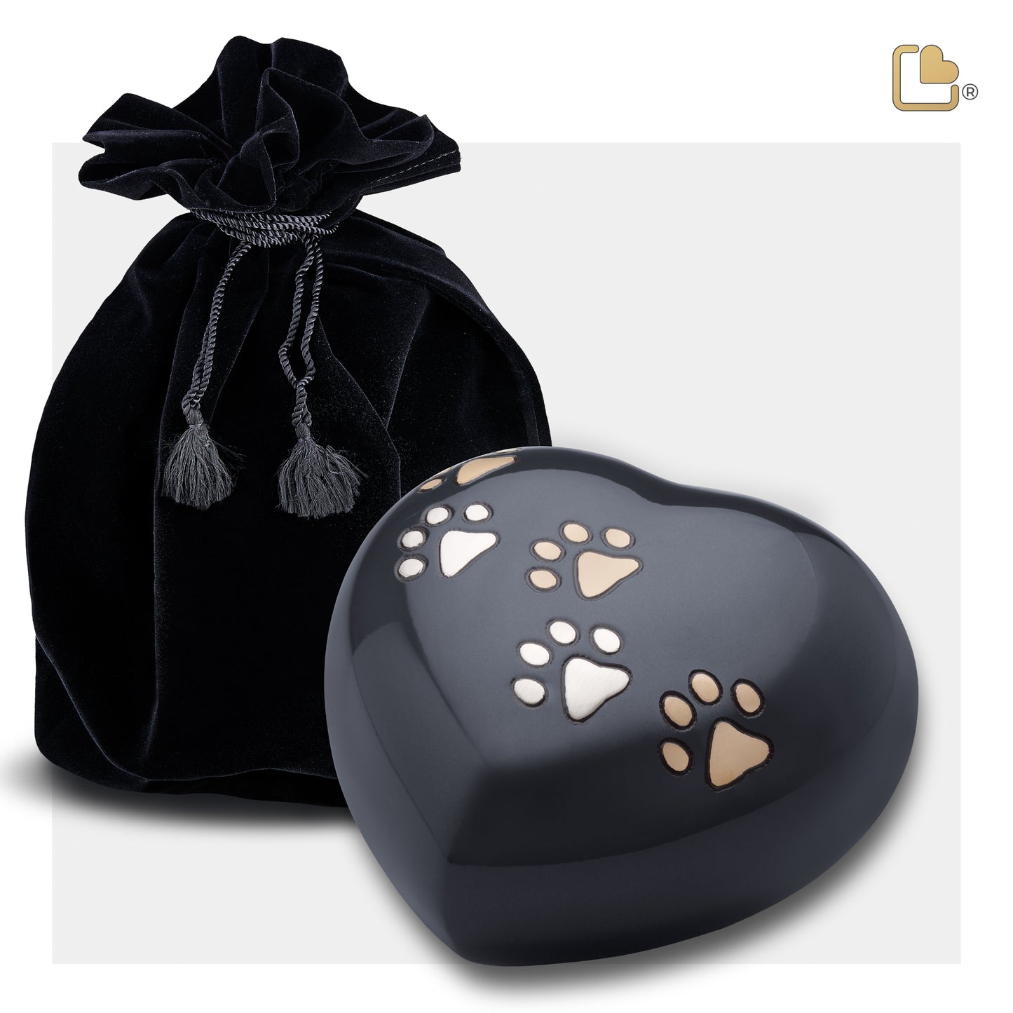 Heart w/Paws Midnight (Medium) - P631M