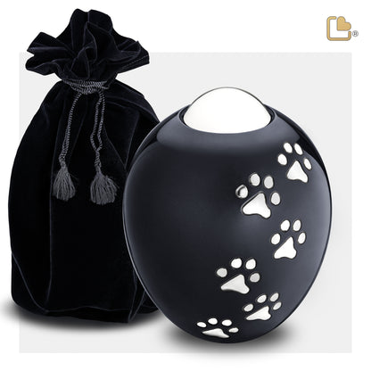 Adore Midnight Pet (Large) - P636L