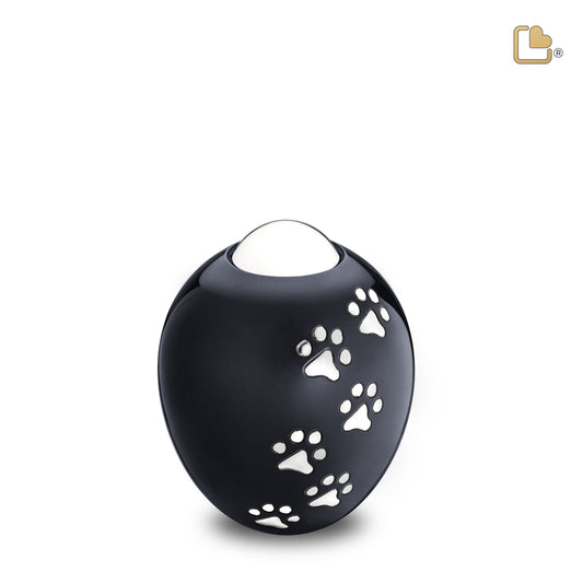 Adore Midnight Pet (Medium) - P636M - ***DISCONTINUED***