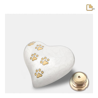 LovePaws™ Pearlescent White (Keepsake Heart) - P638K