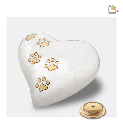 LovePaws™ Pearlescent White (Large Heart) - P638L