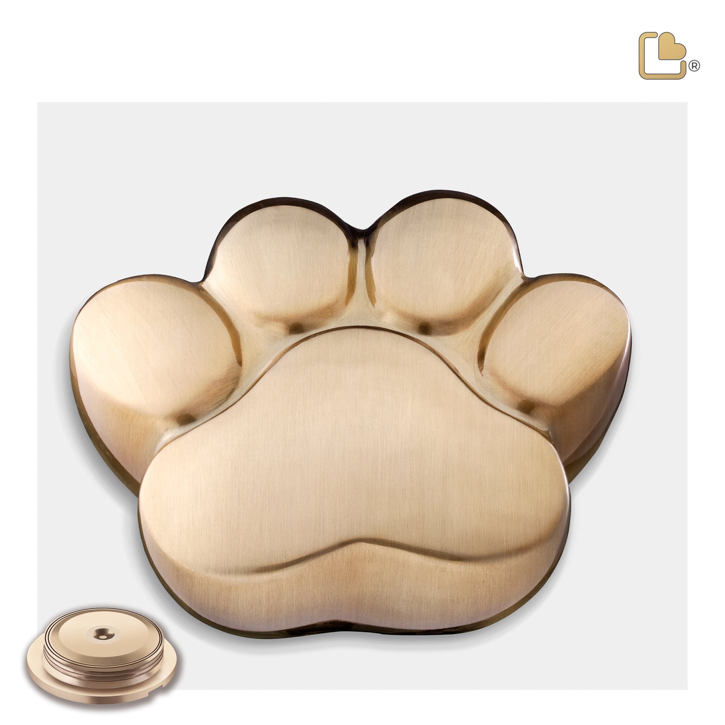 LovePaw Brushed Gold (Medium) - P673M*