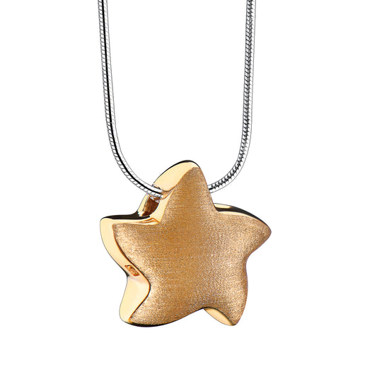 Pendant: Angelic Star - Gold Vermeil Two Tone - PD1031