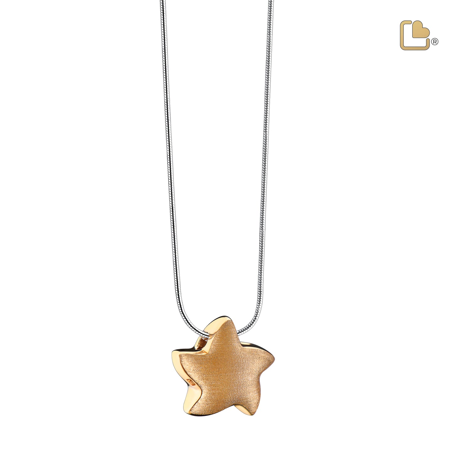 Pendant: Angelic Star - Gold Vermeil Two Tone - PD1031