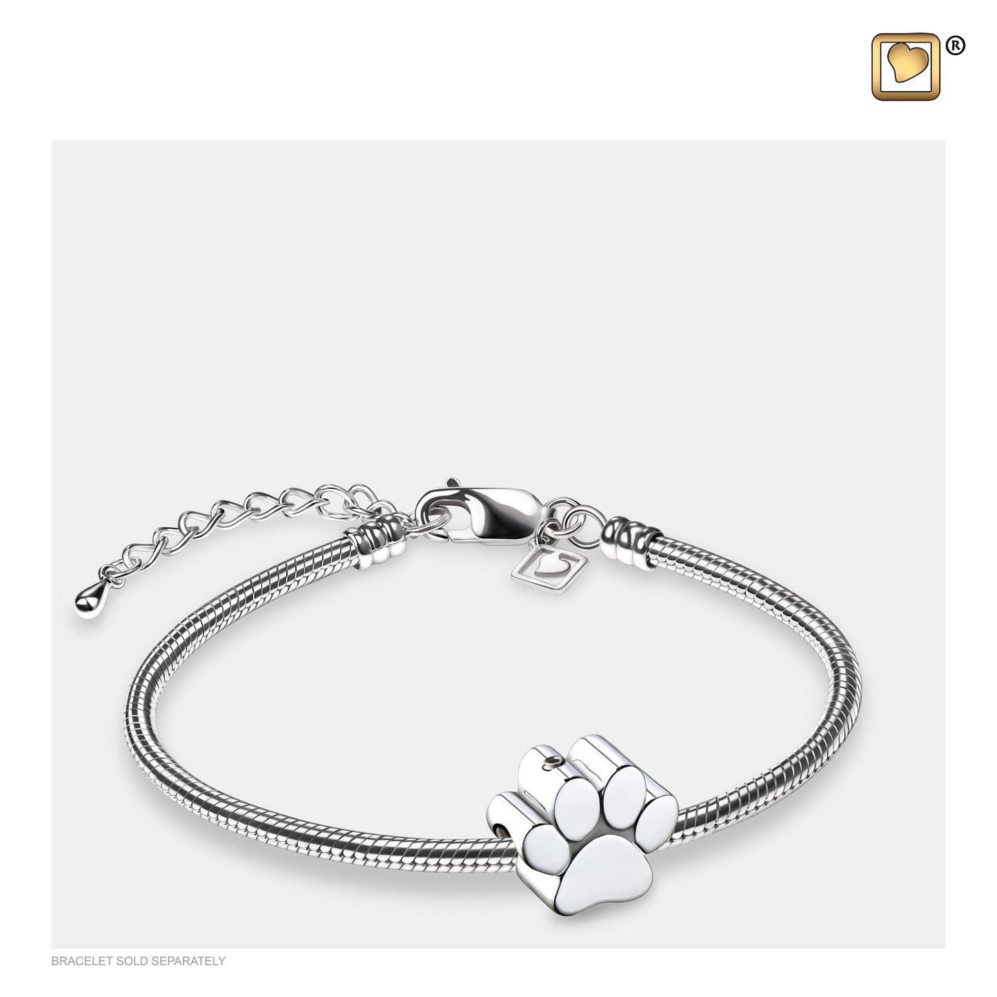 Bead: Paw - Rhodium Plated - BD2102