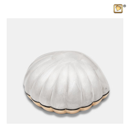 Pearl White (Keepsake Clam) - K641