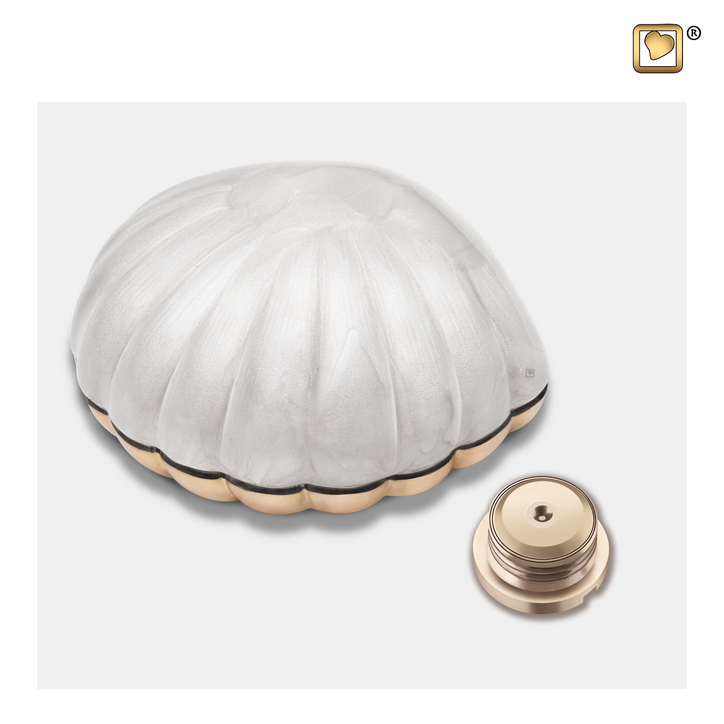 Pearl White (Keepsake Clam) - K641