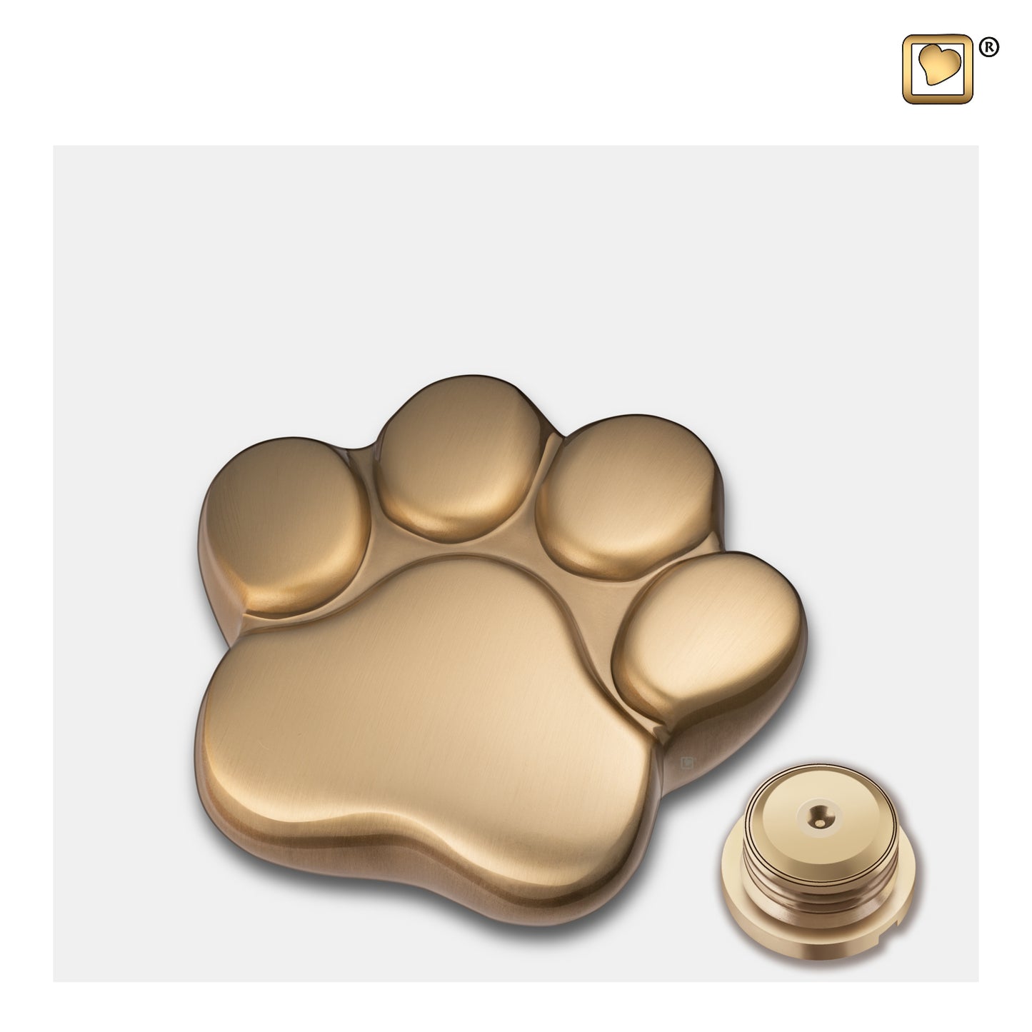 Brushed Gold (Keepsake Paw) - P673K